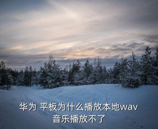  華為 平板為什么播放本地wav 音樂播放不了