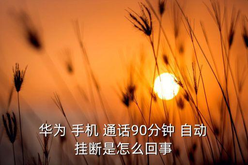華為手機(jī)通話自動(dòng)掛斷,手機(jī)通話中斷怎么辦?