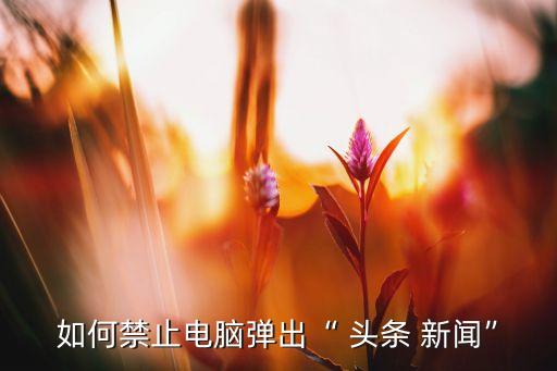如何禁止電腦彈出“ 頭條 新聞”