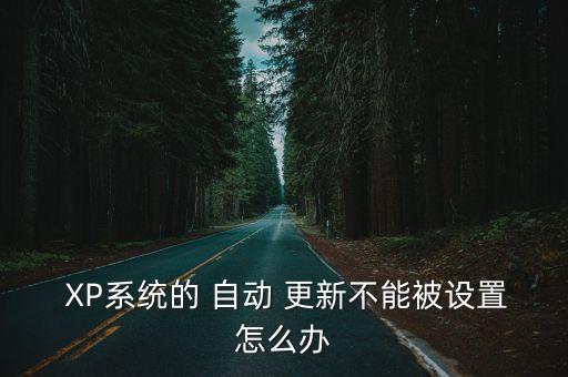 XP沒有自動更新服務(wù),系統(tǒng)出現(xiàn)病毒自動更新服務(wù)提醒你點一點
