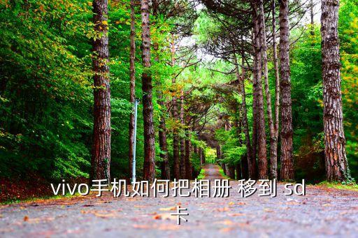 如何把相片自動移到sd,手機怎么用移動sd卡?