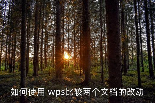 如何使用 wps比較兩個文檔的改動