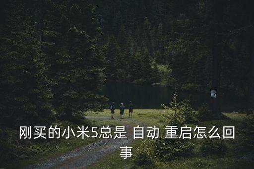 剛買的小米5總是 自動(dòng) 重啟怎么回事