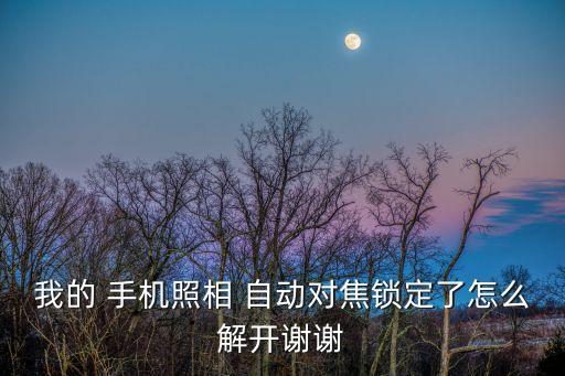 我的 手機照相 自動對焦鎖定了怎么解開謝謝