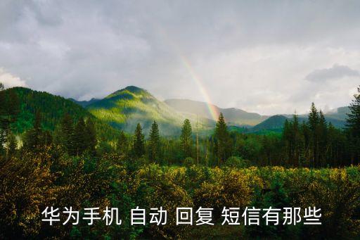  華為手機(jī) 自動(dòng) 回復(fù) 短信有那些