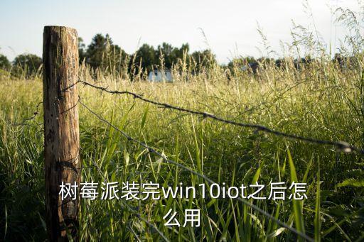  樹莓派裝完win10iot之后怎么用