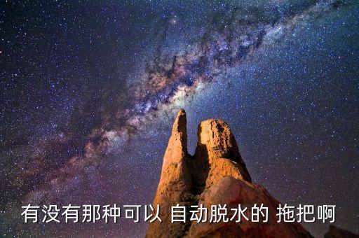 有沒有那種可以 自動(dòng)脫水的 拖把啊