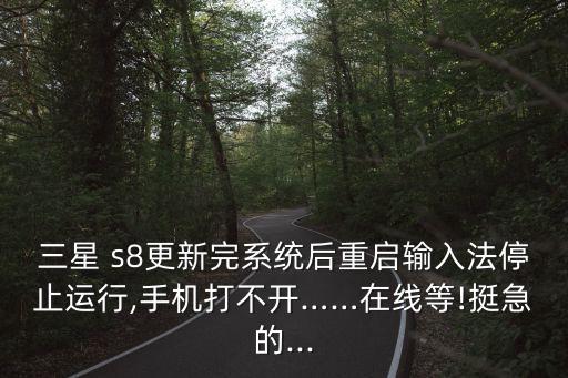 三星 s8更新完系統(tǒng)后重啟輸入法停止運(yùn)行,手機(jī)打不開(kāi)……在線等!挺急的...