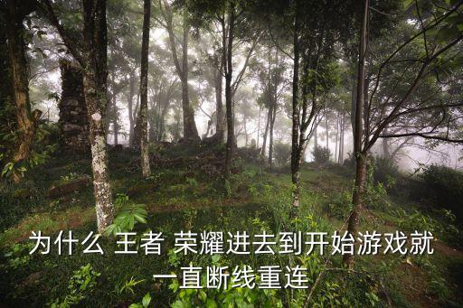 王者榮耀自動(dòng)嘗試連接,王者榮耀登錄提示:出現(xiàn)錯(cuò)誤連接請(qǐng)重試