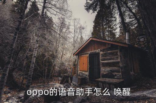  oppo的語音助手怎么 喚醒