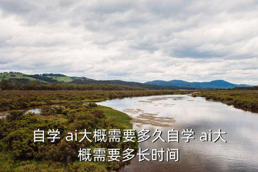 ai 自動(dòng)編程,學(xué)習(xí)人工智能需要什么?