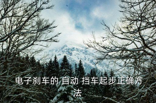  電子剎車的 自動(dòng) 擋車起步正確方法