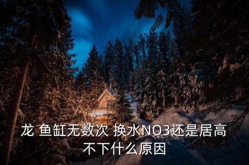 龍 魚(yú)缸無(wú)數(shù)次 換水NO3還是居高不下什么原因