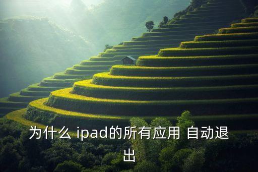 為什么 ipad的所有應用 自動退出