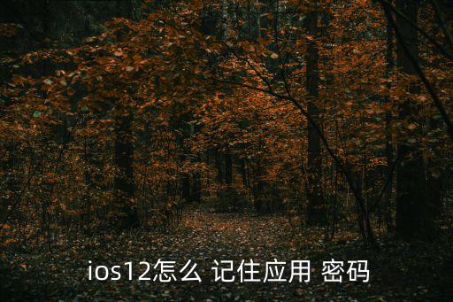 ios12怎么 記住應(yīng)用 密碼