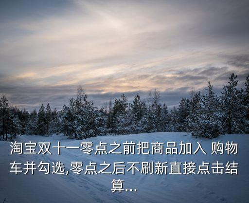 淘寶雙十一零點之前把商品加入 購物車并勾選,零點之后不刷新直接點擊結算...