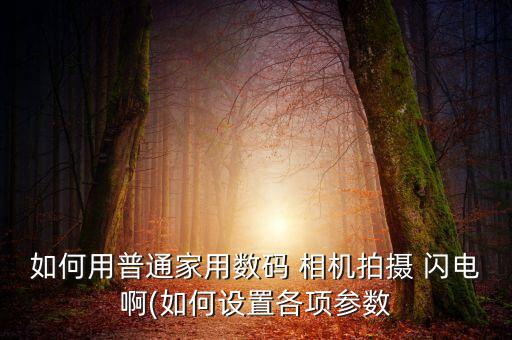 如何用普通家用數(shù)碼 相機拍攝 閃電啊(如何設(shè)置各項參數(shù)