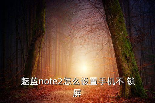  魅藍(lán)note2怎么設(shè)置手機(jī)不 鎖屏