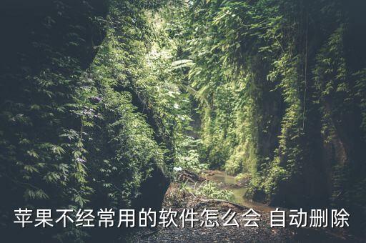 蘋果不經(jīng)常用的軟件怎么會 自動刪除