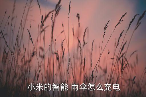 小米雨傘自動(dòng)開合視頻,自動(dòng)雨傘分段打開和合上傘按下開關(guān)