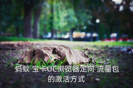  螞蟻 寶卡UC瀏覽器定向 流量包的激活方式