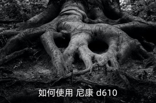 如何使用 尼康 d610