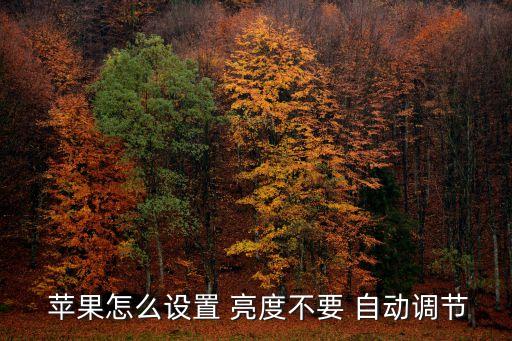  蘋果怎么設(shè)置 亮度不要 自動調(diào)節(jié)
