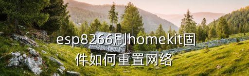 esp8266 自動(dòng)重啟,網(wǎng)絡(luò)服務(wù)如何進(jìn)行?