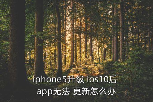 iphone5升級 ios10后 app無法 更新怎么辦
