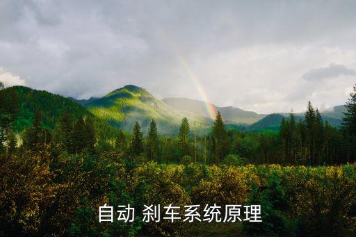 自動剎車比較,如何看待自動剎車?