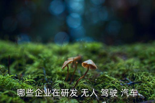 哪些企業(yè)在研發(fā) 無(wú)人 駕駛 汽車(chē)