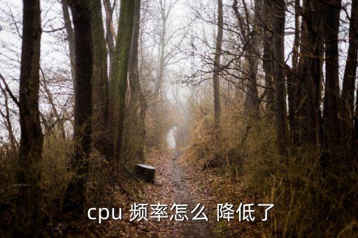cpu 睿頻 自動(dòng)降低頻率,武漢這些事兒要怎么辦?