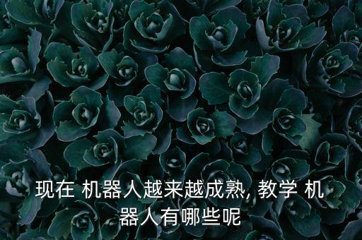 現(xiàn)在 機(jī)器人越來越成熟, 教學(xué) 機(jī)器人有哪些呢