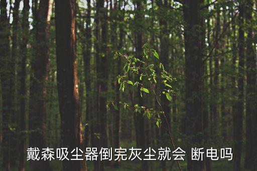 戴森 自動(dòng)斷電,戴森吸塵器不同型號(hào)濾網(wǎng)雖不同但拆卸方便