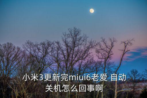  小米3更新完miui6老愛 自動 關(guān)機(jī)怎么回事啊