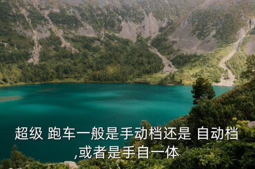 跑車是自動檔嗎,總結(jié):跑車性能逐年提升不能以性能區(qū)分