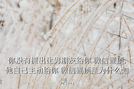 你沒有提出讓男朋友給你 微信置頂,他自己主動(dòng)給你 微信置頂是為什么如果...
