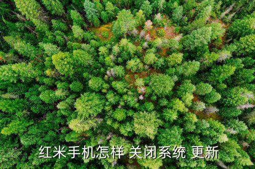  紅米手機怎樣 關(guān)閉系統(tǒng) 更新
