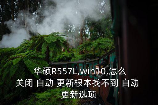  華碩R557L,win10,怎么關(guān)閉 自動(dòng) 更新根本找不到 自動(dòng) 更新選項(xiàng)