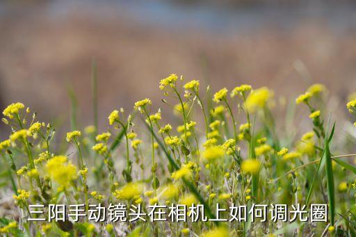 d850 機(jī)身自動(dòng)調(diào)焦,為什么不變綠?原來(lái)是這樣