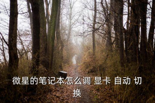 顯卡怎么自動(dòng)切換,怎么切換nvidia獨(dú)立顯卡?
