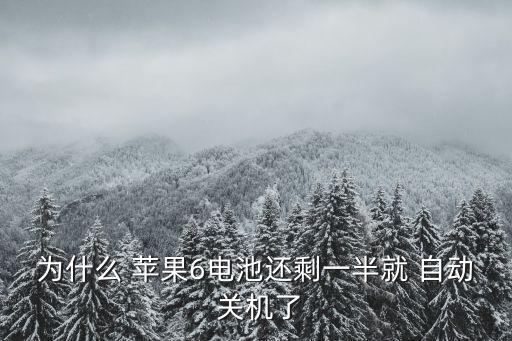 為什么 蘋果6電池還剩一半就 自動 關(guān)機(jī)了