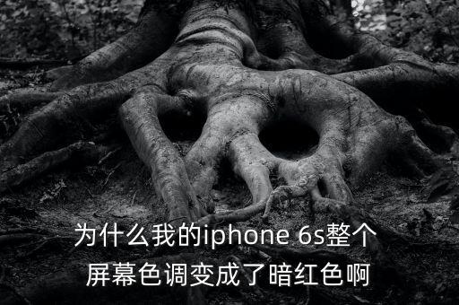 為什么我的iphone 6s整個 屏幕色調(diào)變成了暗紅色啊