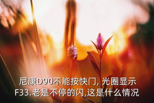  尼康D90不能按快門, 光圈顯示F33.老是不停的閃,這是什么情況