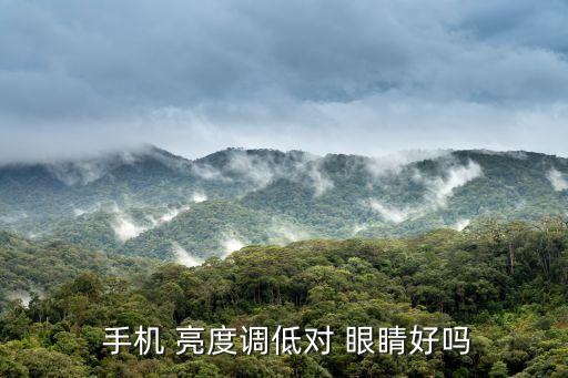 手機(jī)自動(dòng)亮度對(duì)眼睛好,手機(jī)亮度調(diào)整得當(dāng)需要注意哪些事項(xiàng)?