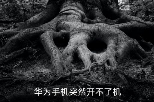  華為手機(jī)突然開不了機(jī)