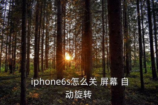  iphone6s怎么關(guān) 屏幕 自動旋轉(zhuǎn)