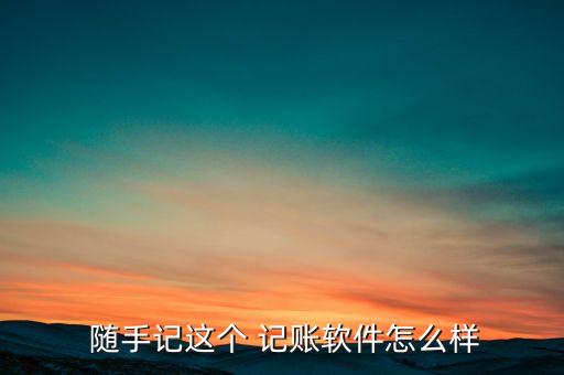  隨手記這個 記賬軟件怎么樣