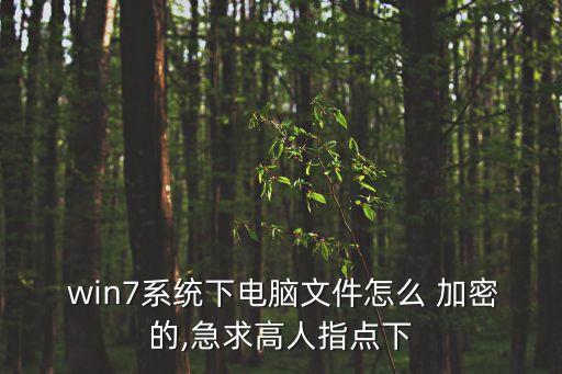 win7自動(dòng)加密,超級(jí)高手!文件和文件夾加密超強(qiáng)強(qiáng)度