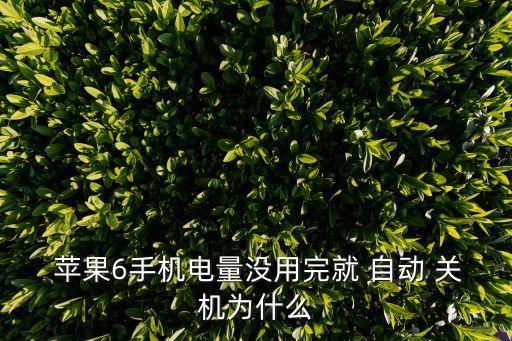  蘋果6手機電量沒用完就 自動 關(guān)機為什么